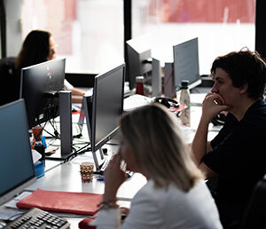 Bienestar profesional