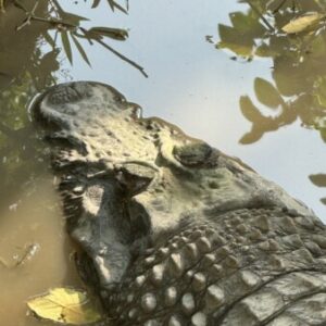 Foto de perfil de u201611670