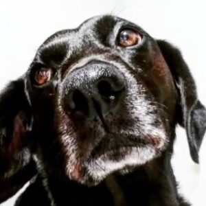 Foto de perfil de gonzalobcr