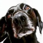 Foto de perfil de Gonzalo